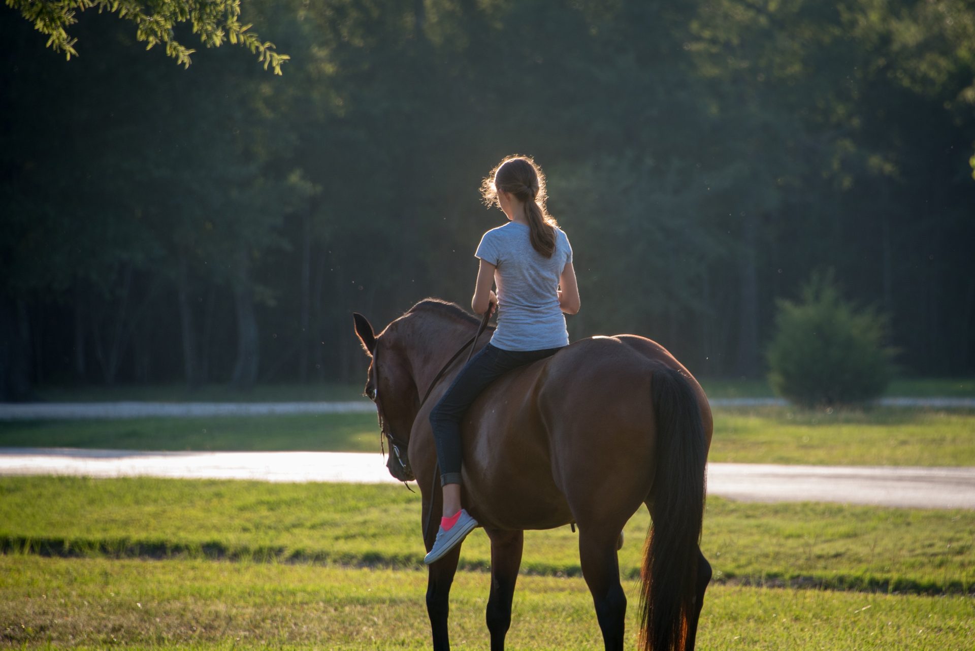 Young rider on horseback in golden evening light at White Oak Trails